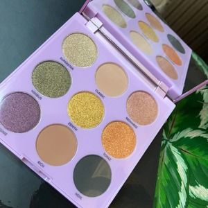 Profusion 9-shades Neutral Matt & Shimmer Full Size Eyeshadow palette NEW In Box